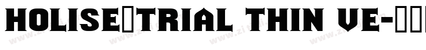 HOLISE_TRIAL Thin Ve字体转换